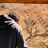 williamplaysgames