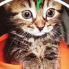 amela_berisha