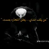 user686814006220
