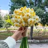 yuseefosman8