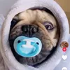 curiousthings_1