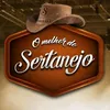 .omelhordosertanejo