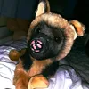 rangertheessa