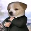 _gabmzkz_