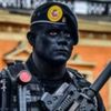comando_lince2