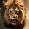 turki.abdul.latif