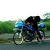 ardan leonies