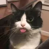 its.your_ely