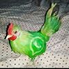 pollo_whatsapp123