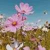 username............21