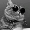 10k_followers28