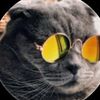 gatosaurio55