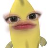 sasaa20171