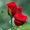 user1963660342835