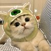 istiqomah_834