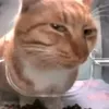 ikficg9