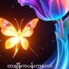 user85186399504425