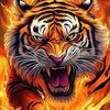 tigeras50