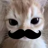 _xixi2212