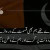 toseeqshah49