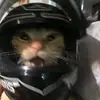 bangrian781_