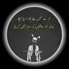 safeerbalochfs