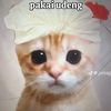 aditya_cwok_galau