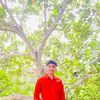 joyroy48411