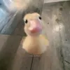nguy.ngo.km