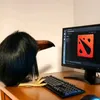 skebob_dota2