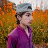 tanveer.lashari15