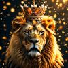 kingokingo535