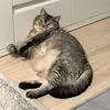 saseska_91