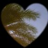 habiba.ibrahim482