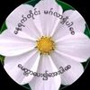 myat.min8287