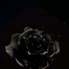 user91503004152916
