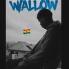 rsnwallow