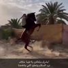 sf_tm5