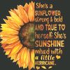sunflowergal360