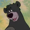 baloo07789