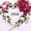 mushtaqabbasi849