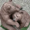 yuzuhasracoon