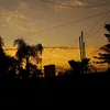 zowi_522