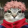 itacat78