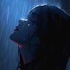 diana.analis