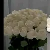 a7lrm8