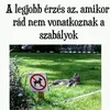vutututu444