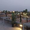 habiba.diaa50