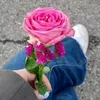 user8108568343007