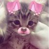 culeracat